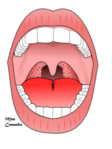 throat pain 